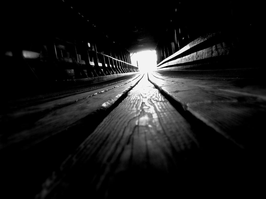 13016621_10206191278321863_253327291_o