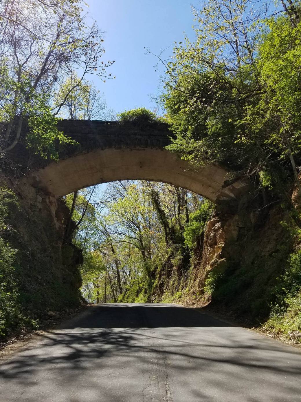 13054796_10206191303762499_976734580_o