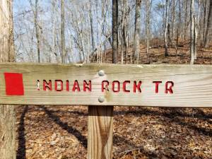 17408026_10208791479005255_1680745878_o