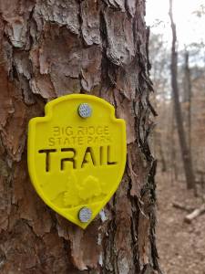 17430933_10208791478605245_910868593_o