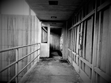 18136965_10209089564457205_1715182709_n